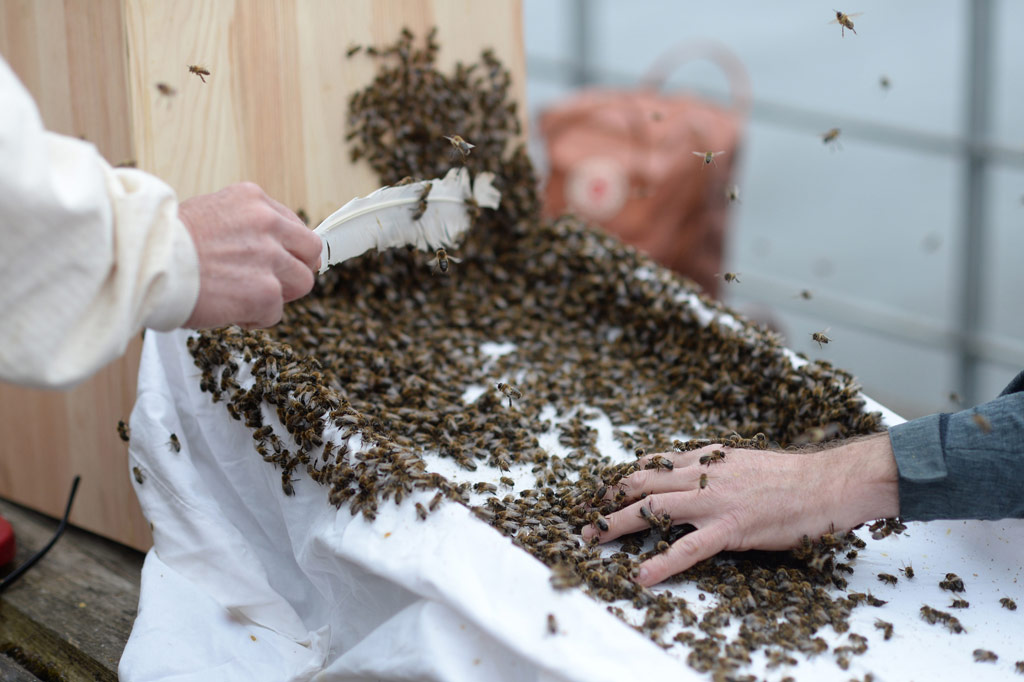 Eröffnung 1. Mai 2019 @ Felix Amsel