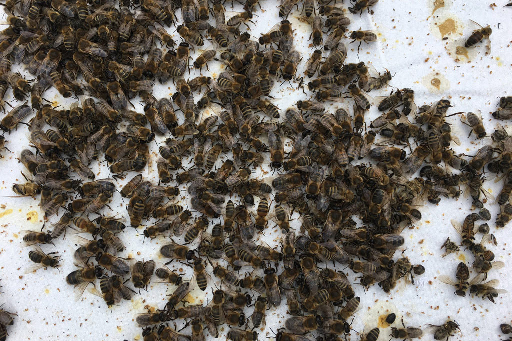 Eröffnung 1. Mai 2019 @ Stadtkuratorin Hamburg