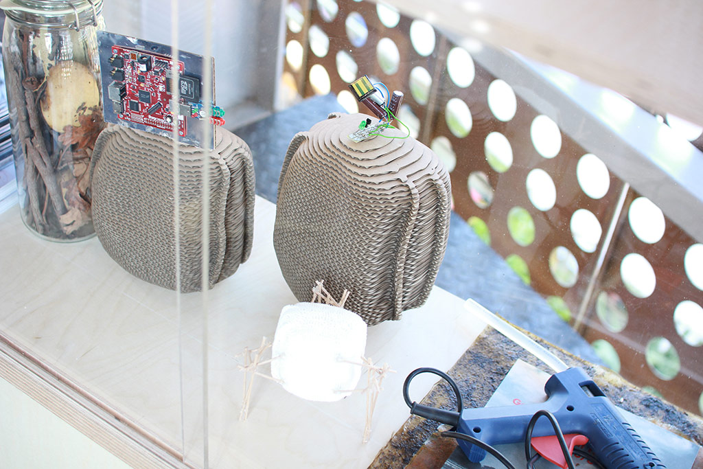 Bienenstock-Modelle in der Vitrine © Stadtkuratorin Hamburg